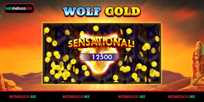 general-information-about-wolf-gold