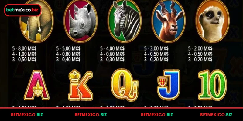 hot-safari-instructions-for-new-players